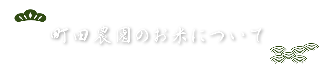 町田農園のお米について